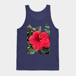 Red Hibiscus Tank Top